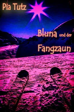 Pia Tutz Bluna und der Fangzaun обложка книги