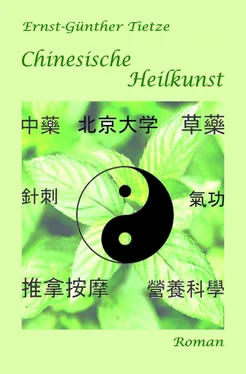 Ernst-Günther Tietze Chinesische Heilkunst обложка книги