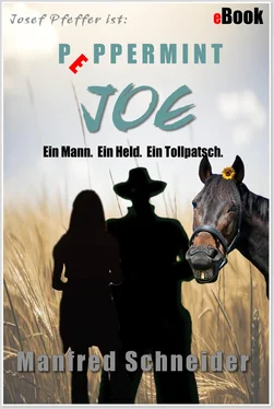 Manfred Schneider Josef Pfeffer ist: Peppermint Joe обложка книги