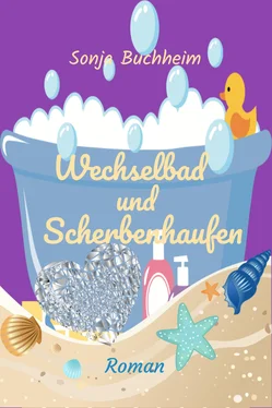 Sonja Buchheim Wechselbad und Scherbenhaufen обложка книги