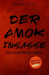 Bastian Litsek - Der Amok-Insasse - Die Psychothriller Parodie