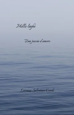Lorenzo-Salvatore Cordí Mille laghi обложка книги