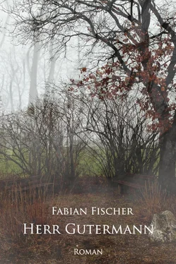 Fabian Fischer Herr Gutermann обложка книги