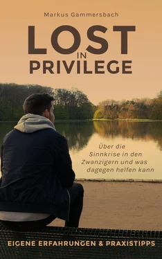Markus Gammersbach Lost in Privilege обложка книги