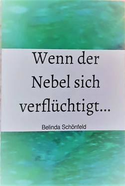 Belinda Schönfeld Wenn der Nebel sich verflüchtigt... обложка книги