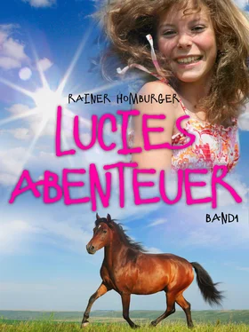 Rainer Homburger Lucies Abenteuer обложка книги