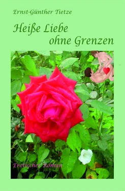 Ernst-Günther Tietze Heiße Liebe ohne Grenzen обложка книги