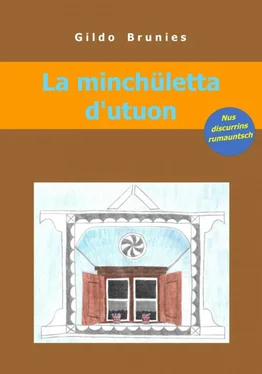 Gildo Brunies La minchületta d'utuon обложка книги