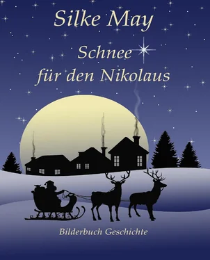 Silke May Schnee für den Nikolaus обложка книги