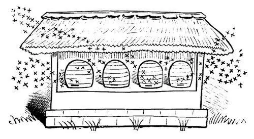 Abbildung 2 Imker Dralles Bienenhaus Autor Wilhelm Busch Kommende - фото 9