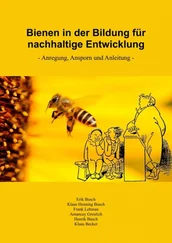 Frank Lehmann - Bienen in der Bildung für nachhaltige Entwicklung