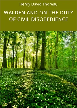 Henry David Thoreau WALDEN AND ON THE DUTY OF CIVIL DISOBEDIENCE обложка книги