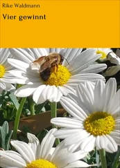 Rike Waldmann - Vier gewinnt