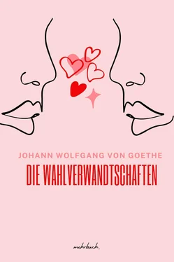 Johann Wolfgang von Goethe Die Wahlverwandtschaften обложка книги