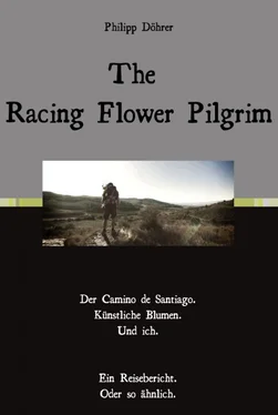 Philipp Döhrer The Racing Flower Pilgrim обложка книги