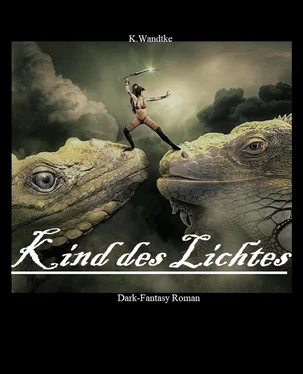 Kerstin Wandtke Kind des Lichtes обложка книги