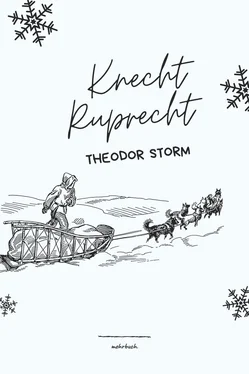 Theodor Storm Knecht Ruprecht обложка книги