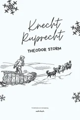 Theodor Storm - Knecht Ruprecht