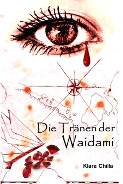 Klara Chilla Die Tränen der Waidami обложка книги
