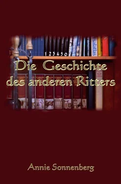 Annie Sonnenberg Die Geschichte des anderen Ritters обложка книги