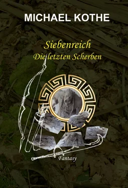 Michael Kothe Siebenreich - Die letzten Scherben обложка книги