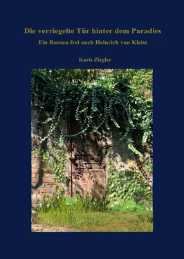 Karis Ziegler Die verriegelte Tür hinter dem Paradies. Ein Roman frei nach Heinrich von Kleist обложка книги