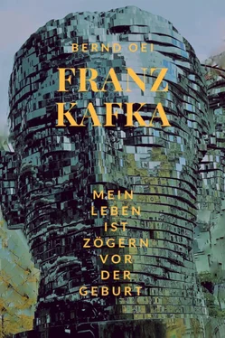 Bernd Oei Franz Kafka обложка книги