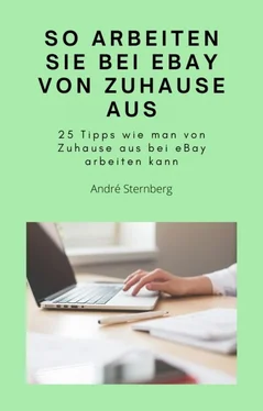 André Sternberg So arbeiten Sie bei eBay von zu Hause aus обложка книги