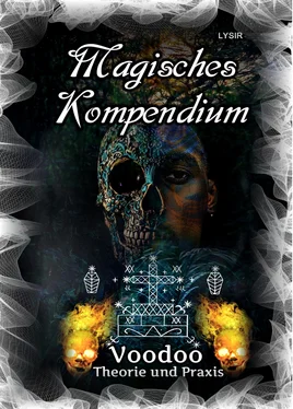 Frater LYSIR Magisches Kompendium - Voodoo - Theorie und Praxis обложка книги