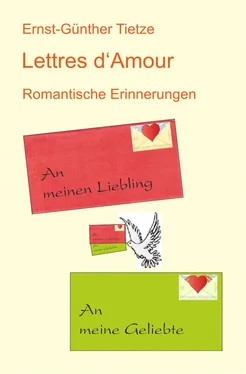 Ernst-Günther Tietze Lettres d'Amour обложка книги