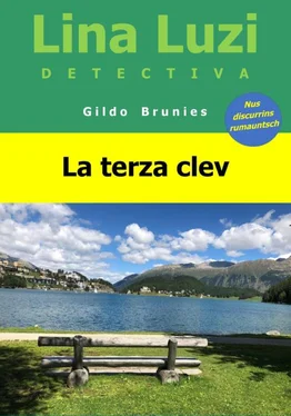 Gildo Brunies La terza clev обложка книги