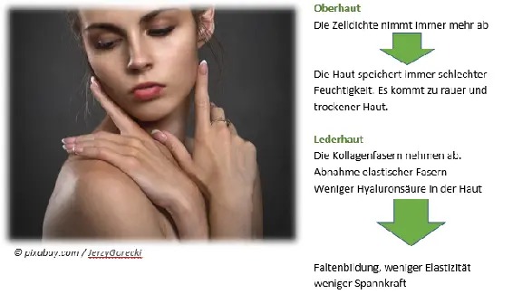 Zusätzlich durchlaufen Frauen den sogenannten hormonellen - фото 2
