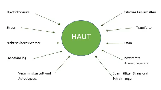 Im Zusammenhang mit der Hautalterung sind die sogenannten Telomere besonders - фото 1