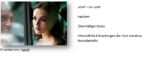 13 AntiAging Warum altern Menschen überhaupt Warum alle Lebewesen - фото 3