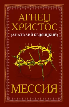 Анатолий Бедрицкий Мессия обложка книги