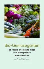 André Sternberg - Bio-Gemüsegarten