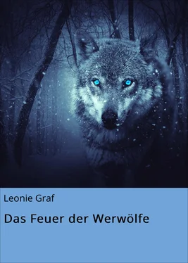 Leonie Graf Das Feuer der Werwölfe обложка книги