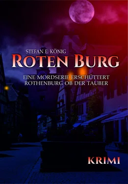 Stefan E. König Roten Burg (Teil 1) обложка книги