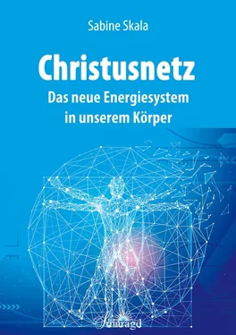 Sabine Skala Christusnetz - Das neue Energiesystem in unserem Körper обложка книги