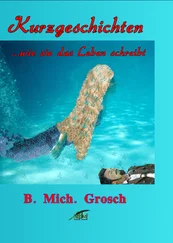 Bernd Michael Grosch - Kurzgeschichten