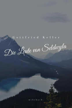 Gottfried Keller Die Leute von Seldwyla обложка книги