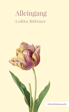 Lolita Büttner Alleingang обложка книги