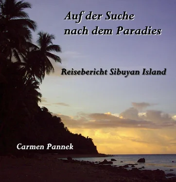 Carmen Pannek Auf der Suche nach dem Paradies обложка книги