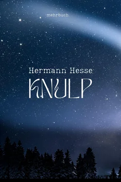 Hermann Hesse Knulp обложка книги