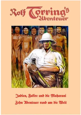 Hans Holm Rolf Toring's Abenteuer - Indien, Fakire und die Maharani обложка книги