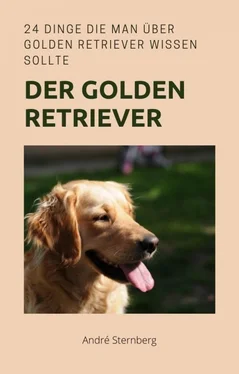 André Sternberg Golden Retriever обложка книги