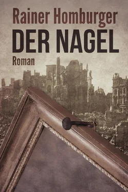 Rainer Homburger Der Nagel обложка книги