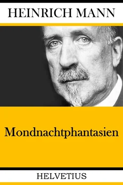 Heinrich Mann Mondnachtphantasien обложка книги