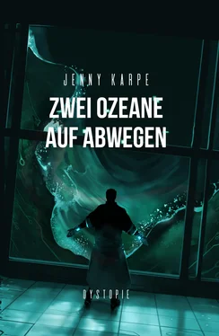 Jenny Karpe Zwei Ozeane auf Abwegen обложка книги