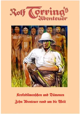 Hans Holm Rolf Torring's Abenteuer - Krokodilmenschen und Dämonen обложка книги